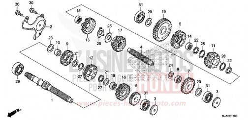 GETRIEBE (VT750CS/C2B/C2S/C) VT750C2SE de 2014